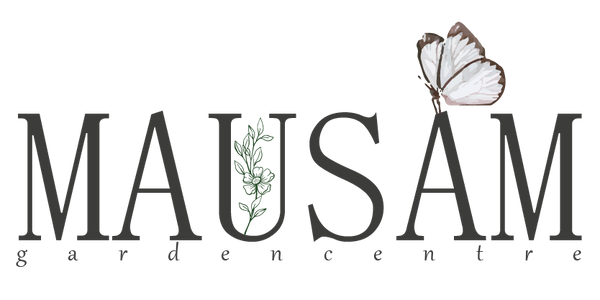 MausamGardenCentre